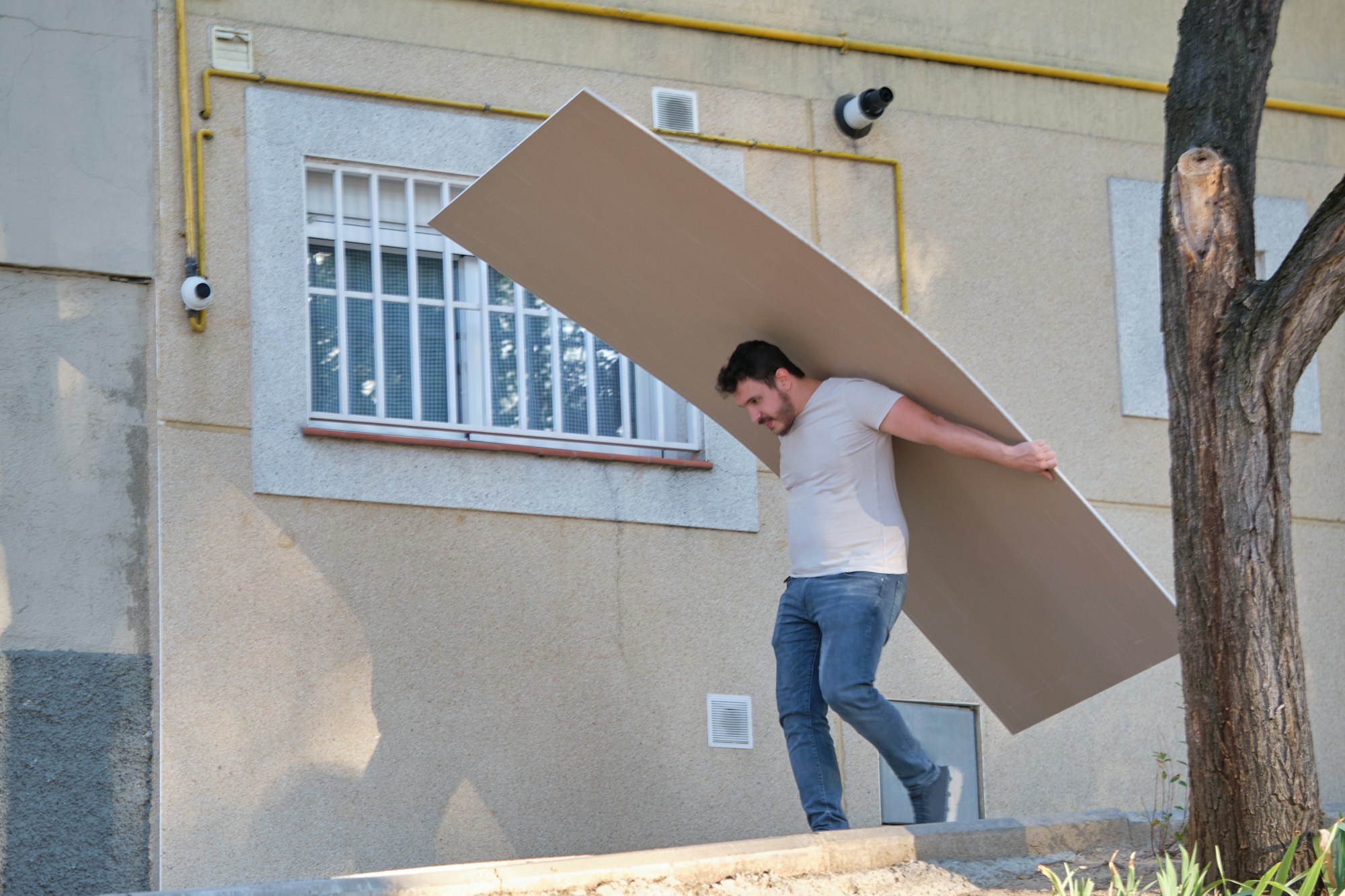 Young worker carrying plasterboard sheets.